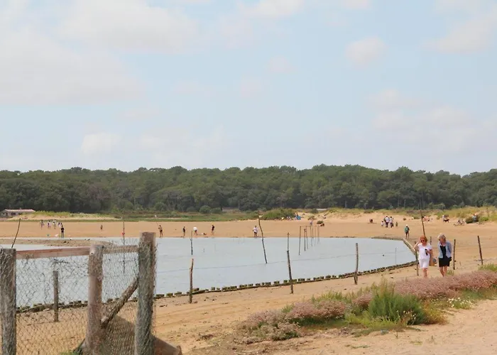 Talmont-saint-hilaire, 2 Pièces, 3 Personnes - Fr-1-426-328